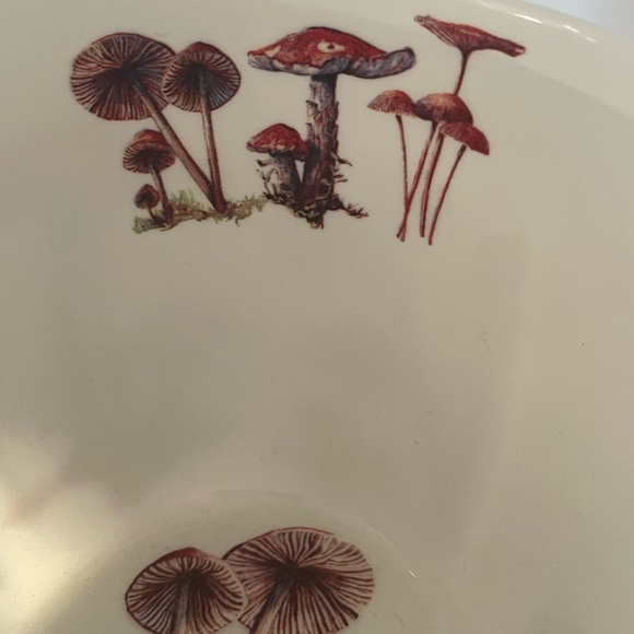 Mushroom Coffee Mugs Tea Cups Bluebird and Willow Bone China 4-pc - Picture 10 of 16